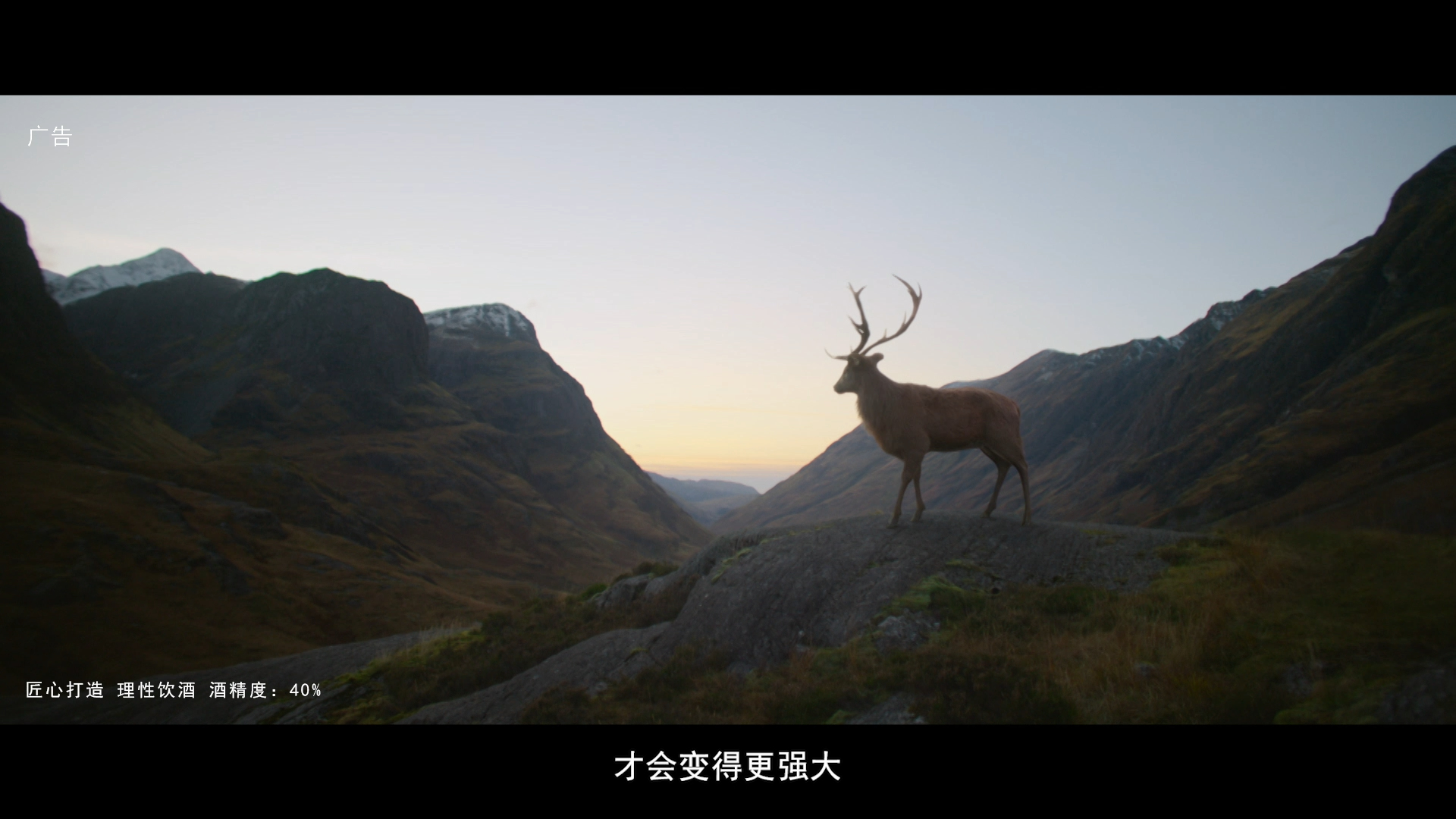Glenfiddich frame 4